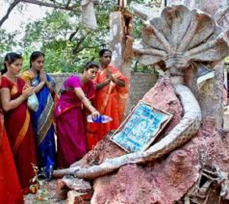 The Importance of nagula chavithi. Nagula Chavithi Festival dedicated to nagas snakes in india, Festival Of nagula chavithi, Nagula Chavithi Pooja